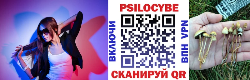Псилоцибиновые грибы MAGIC MUSHROOMS  Купить  Добрянка 